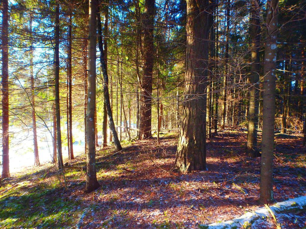 Karumetsa Apartment Otepää Kültér fotó